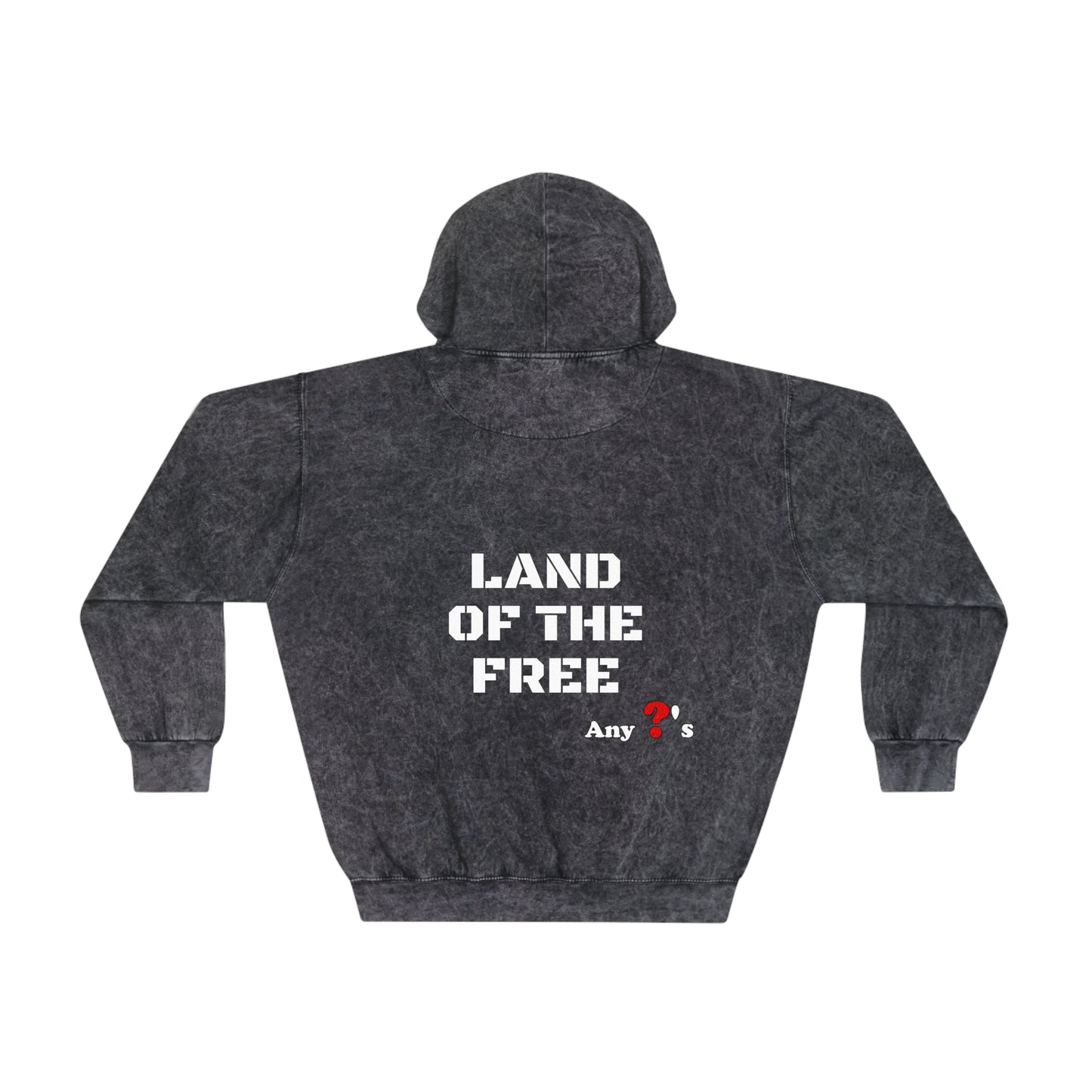 United States of America Mineral Wash Hoodie