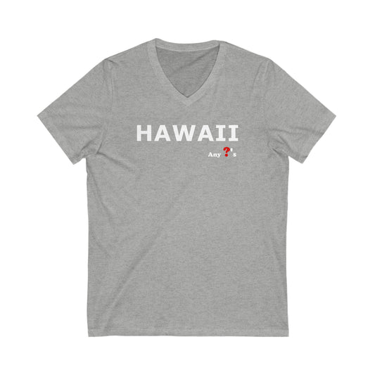 Hawaii Short Sleeve V-Neck Tee